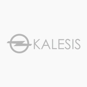 kalesis logo